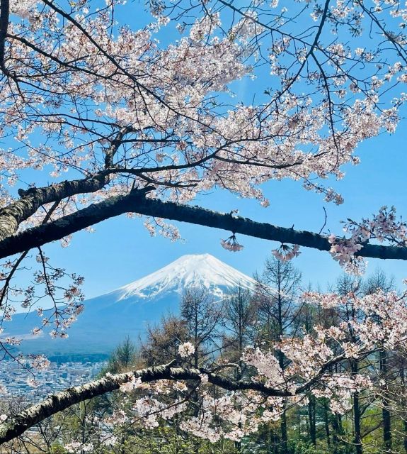 Full Guided One Day Trip for Mount Fuji Japan - Good To Know