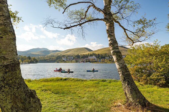 Guided Canoe Tour to the Springs and Highlands of Shirakaba Lake - Key Points