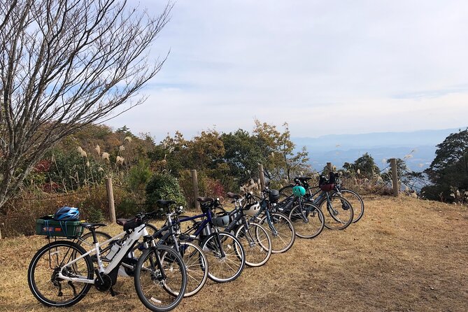 Guided E-Bike Tours in Bungoono City - Key Points