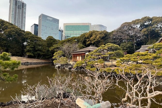 Guided Walking Tour in Hama Rikyu Gardens - Key Points