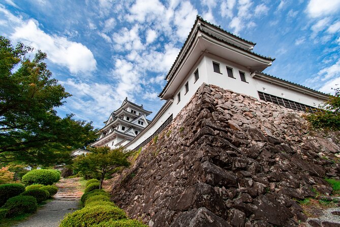 Gujo Hachiman All Must-Sees Full Day Private Tour With Government-Licensed Guide - Key Points