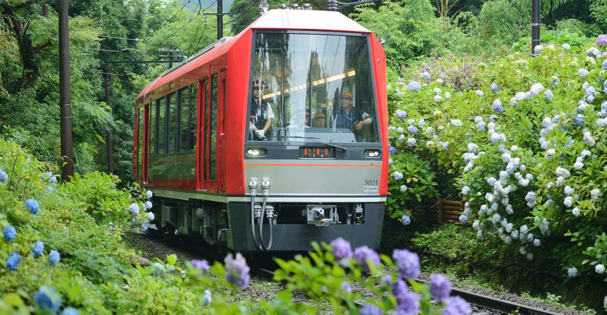 Hakone: Train Pass With Unlimited Rides & Activity Discounts - Key Points