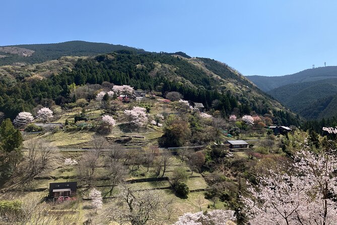 Half Day Countryside Tour in Shinshiro Japan - Key Points