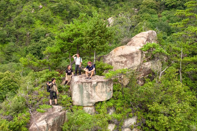 Half Trekking Tour With Panoramic View of Miyajima Included Lunch - Key Points