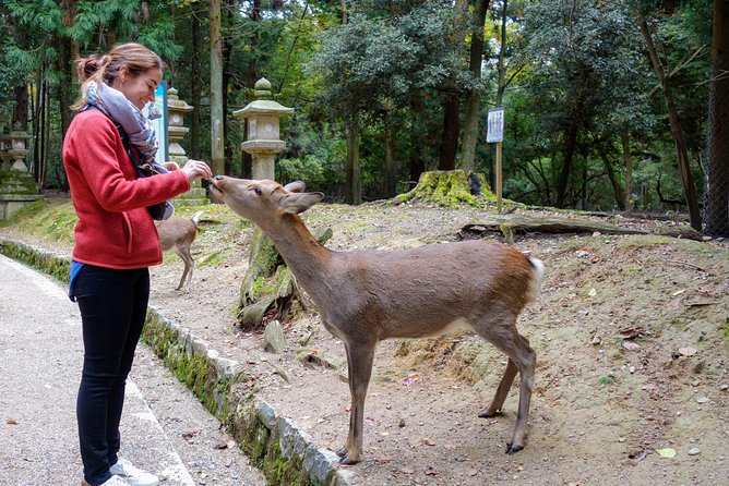 Highlights of Japan Tour: 10-day Small Group - Key Points