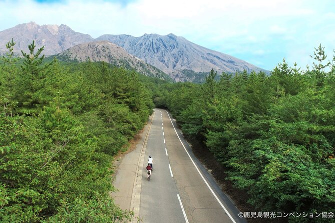 Historical Hill Climb E-bike Tour to Sakurajimas Peak - Key Points