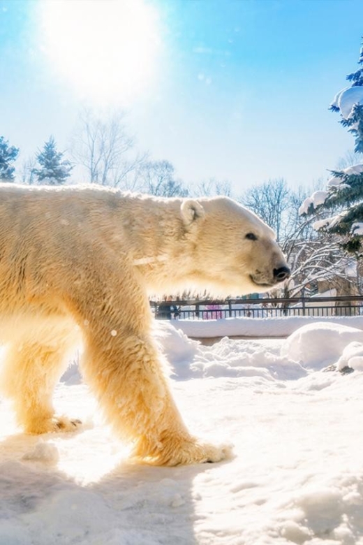 Hokkaido:Asahiyama Zoo, Shirahige Falls & Biei Pond Day Tour - Key Takeaways