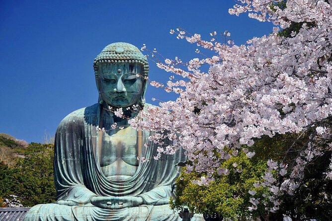 Immersive Zazen Experience Kamakura Tour From Tokyo With Pickup - Key Points