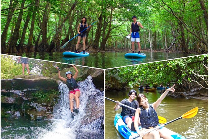 [Iriomote]SUP/Canoe Tour at Mangrove Forest+Splash Canyoning!! - Key Points