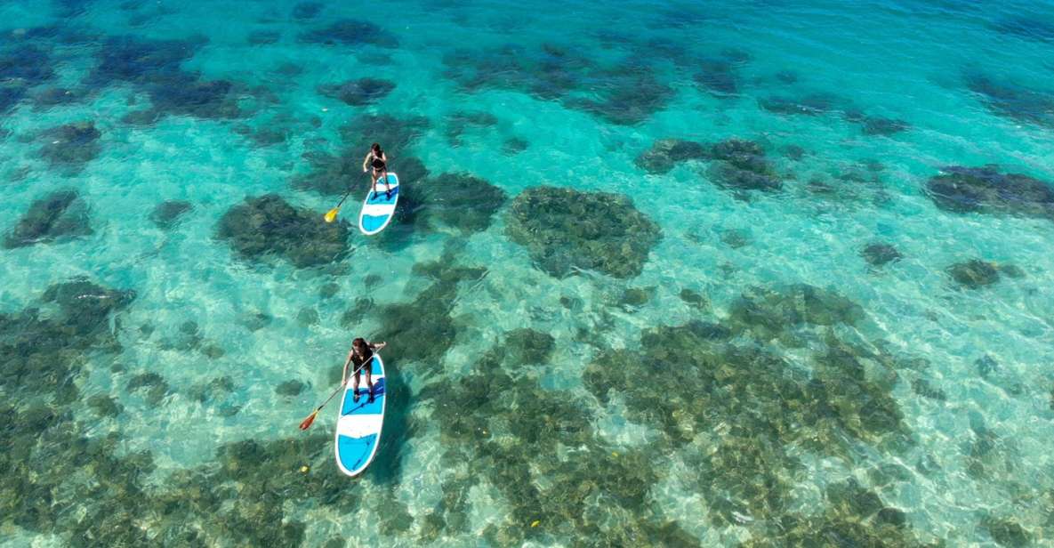 Ishigaki Island: SUP or Kayaking Experience at Kabira Bay - Key Takeaways