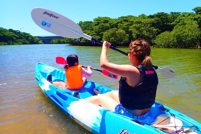 [Ishigaki]Mangrove SUP/Canoe Tour - Key Points