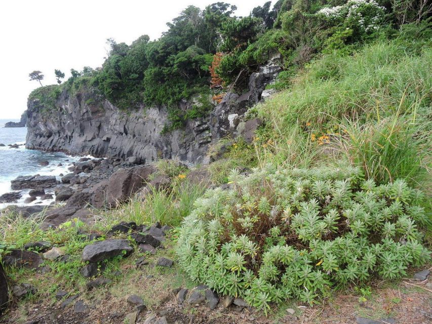 Izu Peninsula: Jogasaki Coast Experience - Key Takeaways