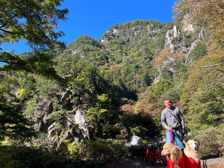 Kamakura Half Day Tour With a Local - Key Takeaways