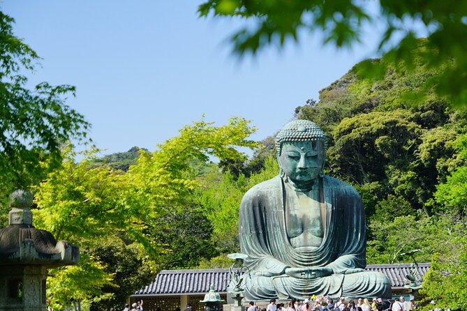 Kamakura Half Day Walking Tour With Local Experience - Key Points