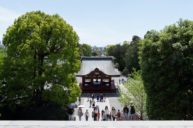 Kamakura Temples and Enoshima Private Tour - Key Points