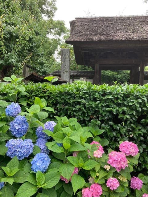 Kamakura: Tour of the Works of Ninshô in French - Key Points