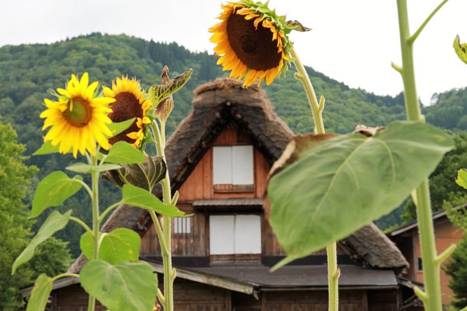 Kanazawa ⇒ Takayama (One Way) Including Shirakawago (Private Tour) - Key Points