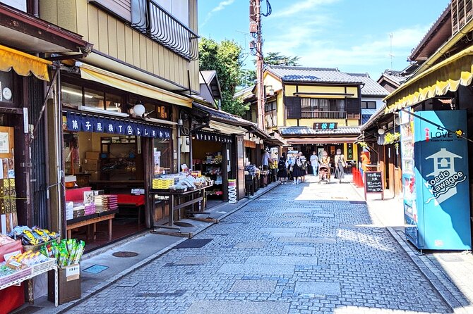 Kawagoe Sightseeing and Experience Tour to Harvest Local Foods - Key Points