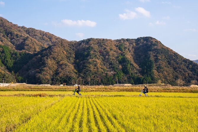 Kinosaki:Rental Electric Vehicles-Natural Treasures Route-/120min - Key Points