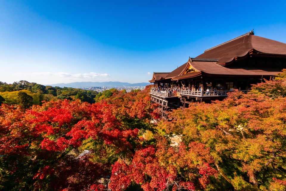 Kiyomizu Temple and Backstreet of Gion Half Day Private Tour - Key Takeaways