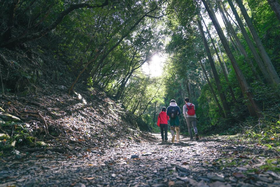 Kyoto: 3-Hour Fushimi Inari Shrine Hidden Hiking Tour - Key Takeaways