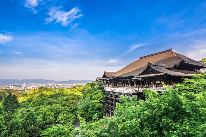 Kyoto 8 Hr Tour From Osaka: English Speaking Driver, No Guide - Key Points