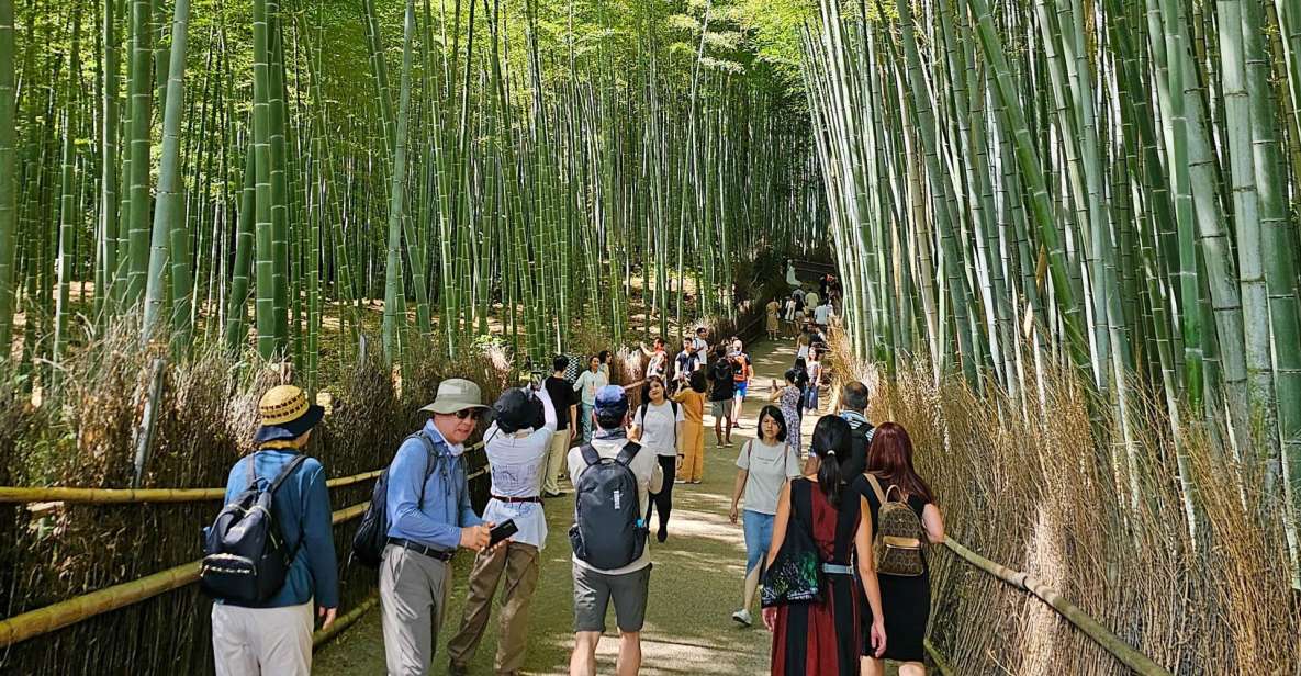 Kyoto: Arashiyama Bamboo Grove 3-Hour Guided Tour - Key Points