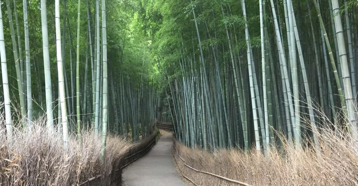 Kyoto, Arashiyama: Bamboo Grove Half-Day Private Guided Tour - Key Takeaways