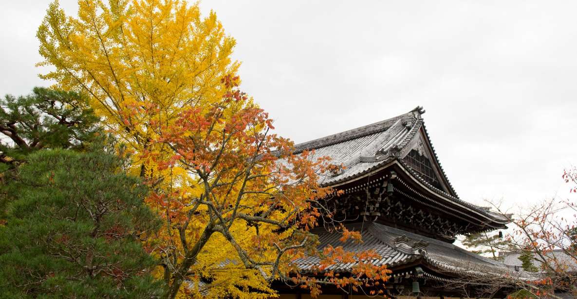 Kyoto: Bicycle Adventure Tour - Tour Details