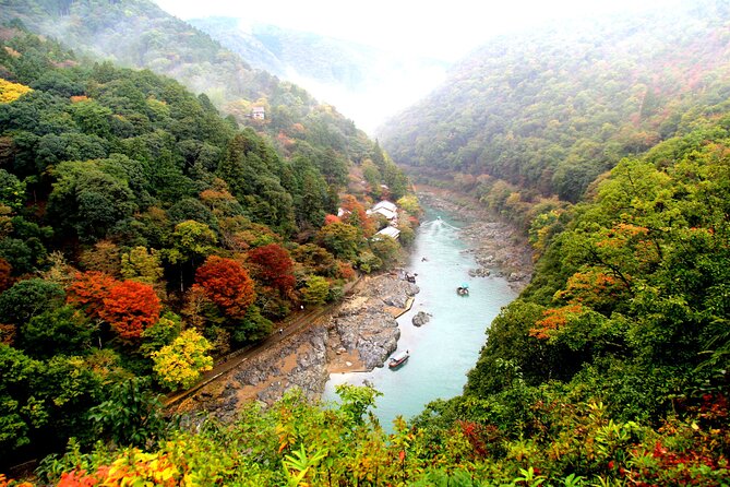 Kyoto Day Tour Tenryu-ji Temple Arashiyama Grove and Kinkaku-ji - Key Points