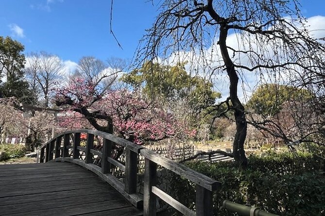 Kyoto Early Bird Half Day Private Tour With Transfer - Tour Overview