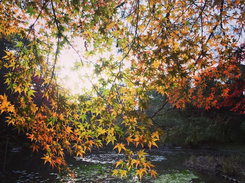 Kyoto: Ginkakuji and the Philosophers Path Guided Bike Tour - Key Takeaways