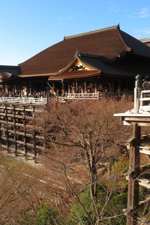 Kyoto: The Best of Kyoto - Half Day Private Tour - Key Takeaways