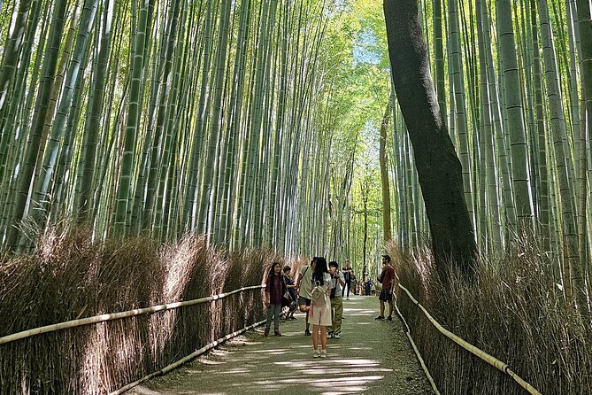 Kyotos Arashiyama Bamboo Grove: 3-Hour Guided Tour - Key Points