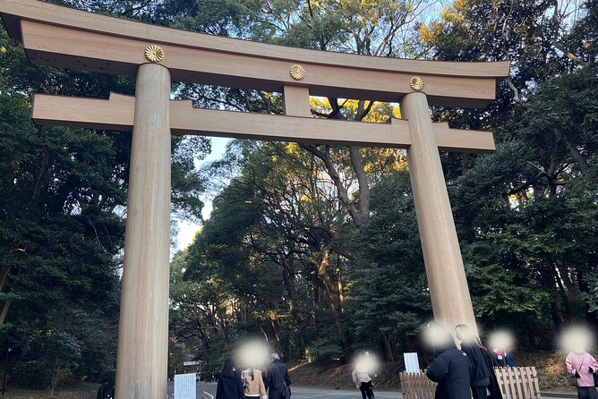 Meiji Shrine Visit and Shopping & Sweets Tour in Harajuku - Key Points