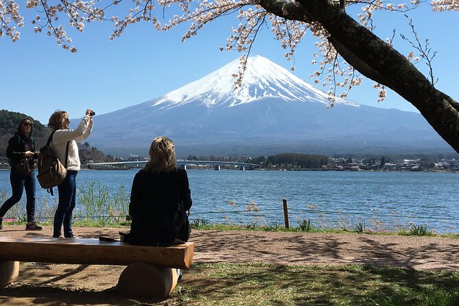 Mount Fuji and Hakone Private Tour With English Speaking Driver - Key Points