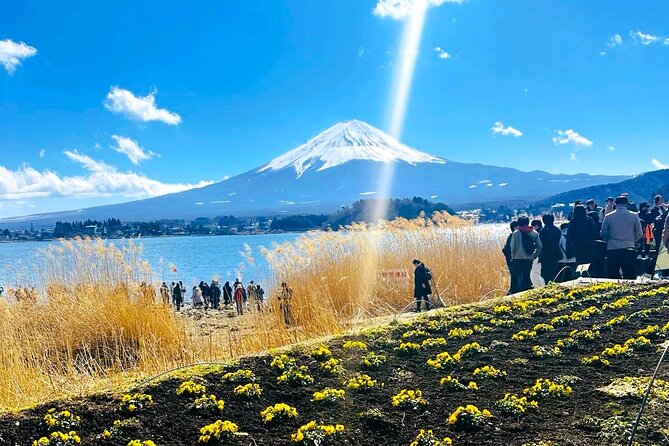 Mount Fuji Full Day Private Tour - Key Points