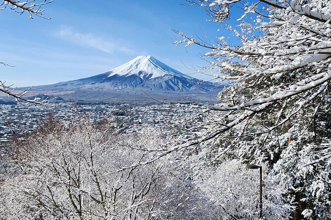 Mount Fuji Private One Day Tour With English Speaking Driver - Key Points