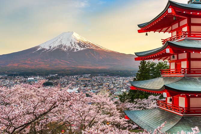 Mount Fuji Private Tour by Car - English Speaking Driver - Key Points