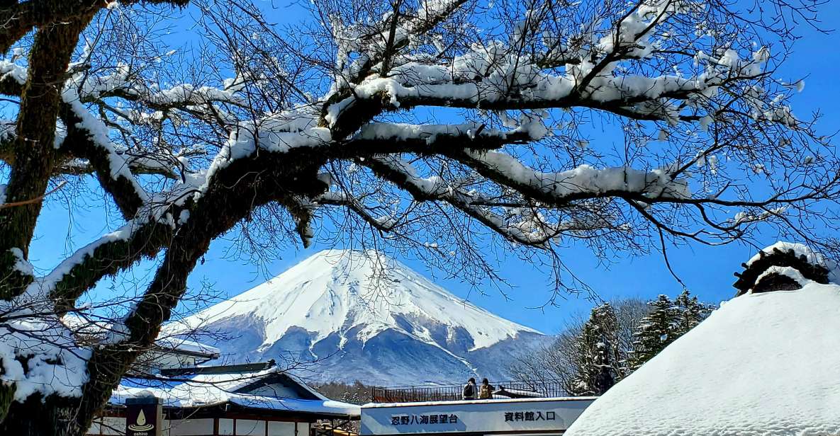Mt. Fuji and Hakone: Full Day Private Tour W English Guide - Itinerary