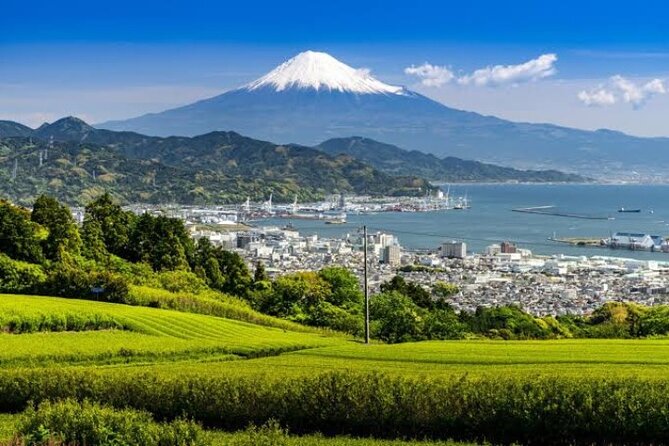 MT Fuji and Hakone Private Group Tour (Upto 9 Persons) by Hiace - Tour Highlights