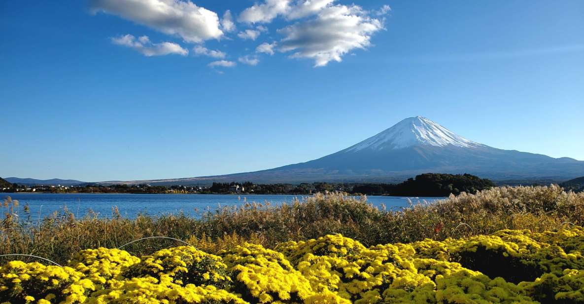 Mt Fuji: Full Day Private Tour With English Guide - Good To Know
