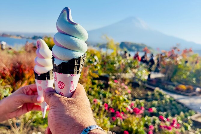 Mt. Fuji & Hakone Pvt. Day Tour With Pick & Drop. - Itinerary Details