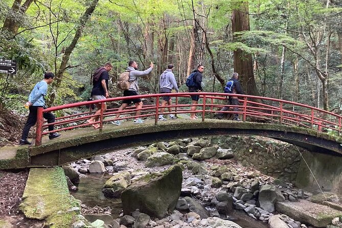 Mt. Inunaki Trekking and Goma Prayer Experience in Osaka - Key Points