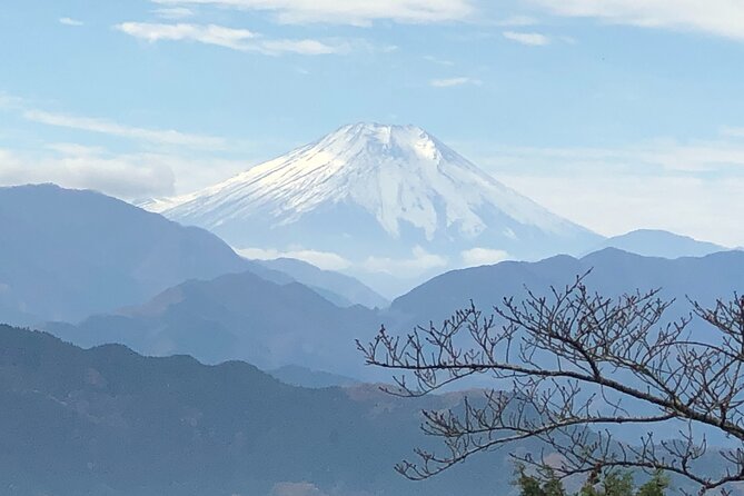 Mt. Takao Hiking Tour With Licensed Guide - Key Points