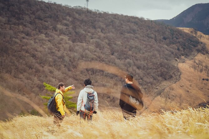 Mt. Yufu Grassland Private Hiking and Lunch - Key Points