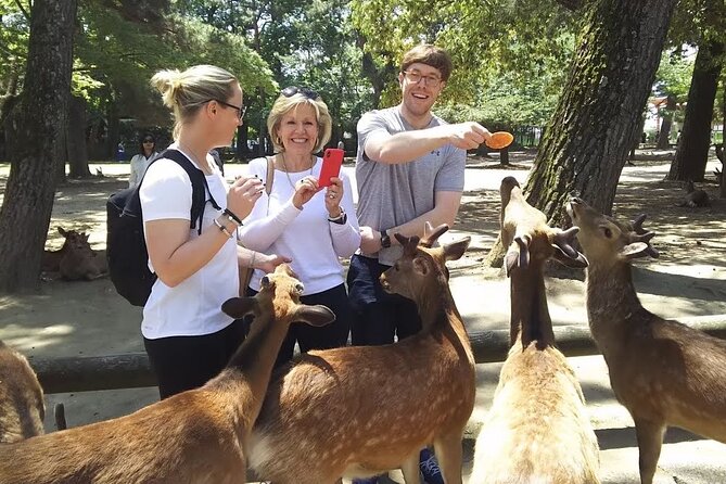 Nara Best Spots Private Tour With Licensed Guide (6h/8h) - Key Points