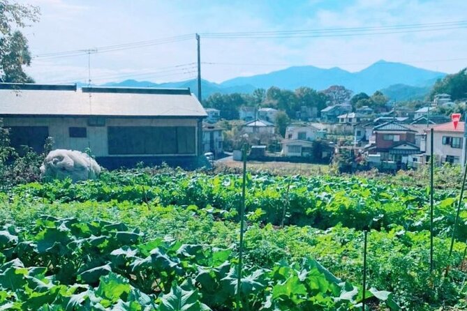 Near Tokyo: Organic Farming Experience With Forest Hiking - Key Points