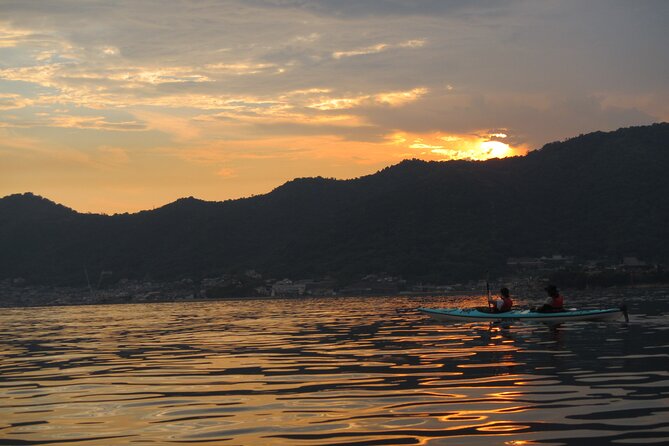 Night Kayak Tour Relax Under the Natural Glow of Sea Fireflies - Key Points