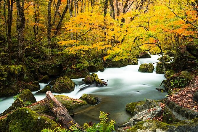 Oirase Gorge and Lake Towada Day Hike With Government-Licensed Guide - Key Points